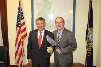peregrine fund_102709