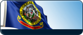 Idaho Info Icon - Flag