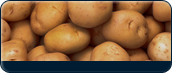 Idaho Info Icon - Vegetable